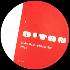 André Galluzzi | Dana Ruh | Mauersegler