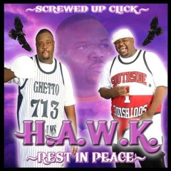 Big Hawk- Hater'z Love Wen Ur Down Zoned Out By Top Shotta Sir Don Wayne