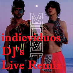 MGMT-Kids(Indieviduos DJ's Live Remix)
