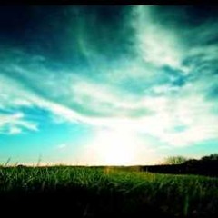 Adam K - You're Not Alone