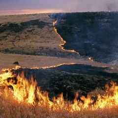 from AAD attempt July '08. "Prairies pt.2"