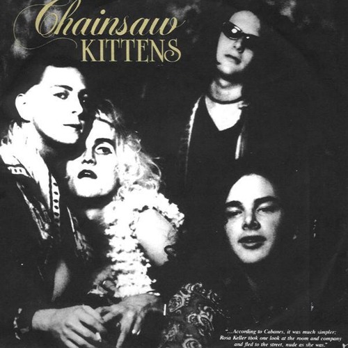 Stream Dream Police by Chainsaw Kittens Listen online for free on