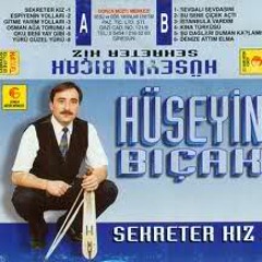 Huseyin Bicak - Sekreter Kiz