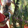 New Nepali Lok Dohori Geet Bisauni New Nepali Lok geet 2012 Mayako Naam Japiyo - bisauni.com