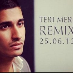 Arjun - Teri Meri Remix Feat. Priti Menon