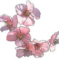 SnubLuck-Cherry Blossom Shower (a.poco.Lips.RMX)