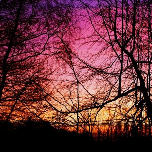 Endless Nights mixtape #1 - Rêve Lucide