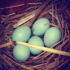 Macaroni and Cheese #2