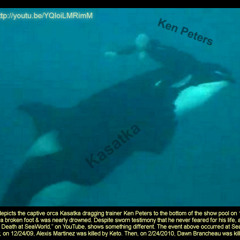 Ex-SW Trainer Sam Berg & Sam Simon Dissect 2006 Kasatka Attack Video