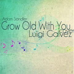 Grow Old With You (Adam Sandler) Cover - Luigi Galvez