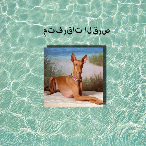 Love Is Inside You - Aldous R. H.