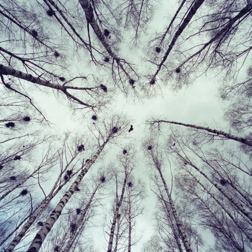 A Call to Open Spaces (Original Composition)