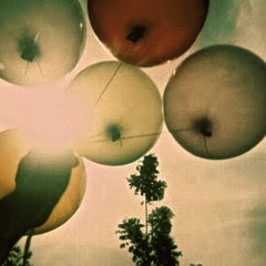 Tufu & Melodiesinfonie - Darunter