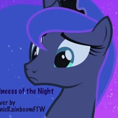 Princess of the Night (SRFTW's Cover)