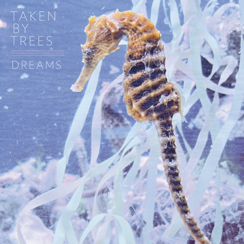 Taken By Trees -  "Dreams"