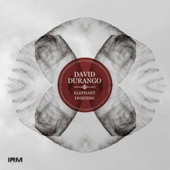 David Durango - "Elephant Fighting"