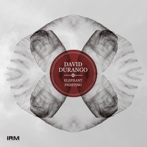 David Durango - "Elephant Fighting"