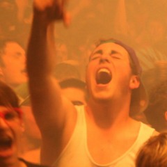 DJ BEESTYLE - Dubsidia Alternacore MashUp