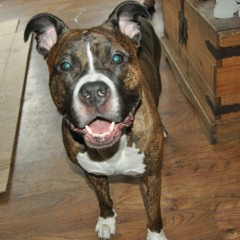 Sk8prkZ-hode club demo