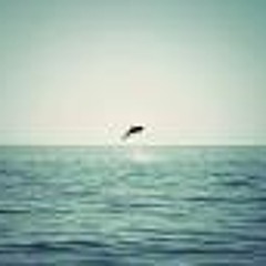 Bleu Ft.(KongCrete&enZym)