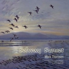 14 Solway Theme