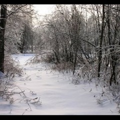 Mayan : Frozen Heart