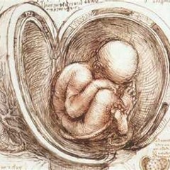 Blissless (Mega Smegma drummer)