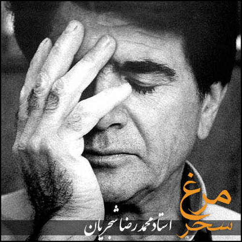 M-Shajarian -neydavoud -Morghe sahar