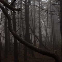 Hindsight v2.5 (Guitar Rig 4!)