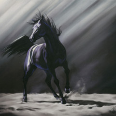 Wild Spirit