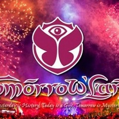 DolphinTrainers Tomorrowland 2012 Mix (Full Madness Edition)