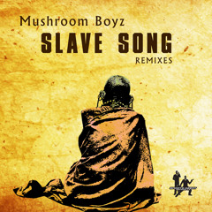 Slave Song (Salah Ananse Mix)