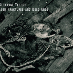 Aged Fractures and Dead Ends (preview/extracts from)