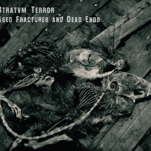 Aged Fractures and Dead Ends (preview/extracts from)