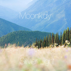Silver Light