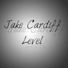 Level