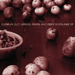 Gudrun Gut: Monika In Polen (Thomas Fehlmann Remx)