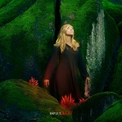 [13] Impuls - Missin