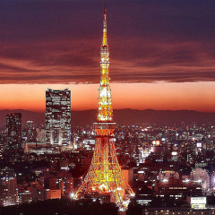 "Tokyo-Paris Connection" - Blanco Nice