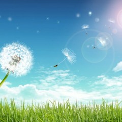 Deep Summer Vibes Mix