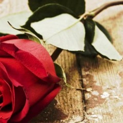 Projota - Chuva De Novembro