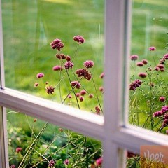 داستان شخص کفن دزد