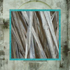 The Making Graceful (Jeals Remix)