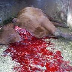 BEEF FT. MURDER MAN NEZ