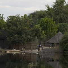 Sounds of Maun Botswana