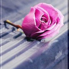 لحَظآتِي مَعهَآ ..