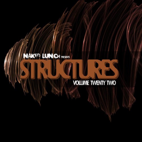 Dax J - Valve Systems (Naked Lunch Records)