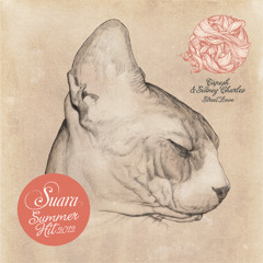 Sidney Charles & Tapesh - Street Love (Original Mix) |SUARA|