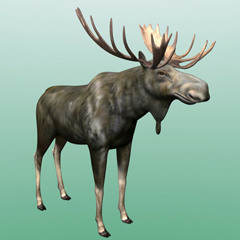 Mason's Moose Marching Mix