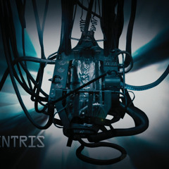 Rene Reiter - the ventris